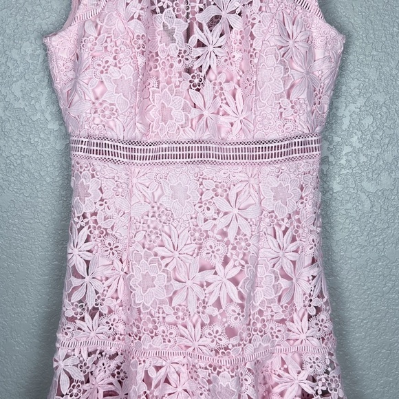 Bardot Elise Lace Dress, Washed Pink 6 - Sleeveless, Feminine, Sexy, EUC, Small - Picture 5 of 13